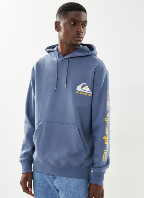 Vêtements Quiksilver Omni Logo hood pour  Accessoires