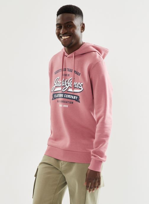 Vêtements Jack & Jones Jjelogo Sweat Hood 2 Col 23/24 Noos pour  Accessoires