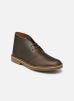 Clarks Bottines et boots Desert Bt Evo pour Homme Male 43 26166785