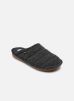 chaussons scholl paffo man comfort pour  homme