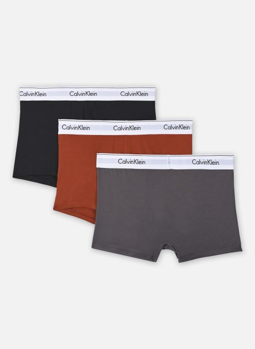 Vêtements Calvin Klein Trunk 3Pk pour  Accessoires