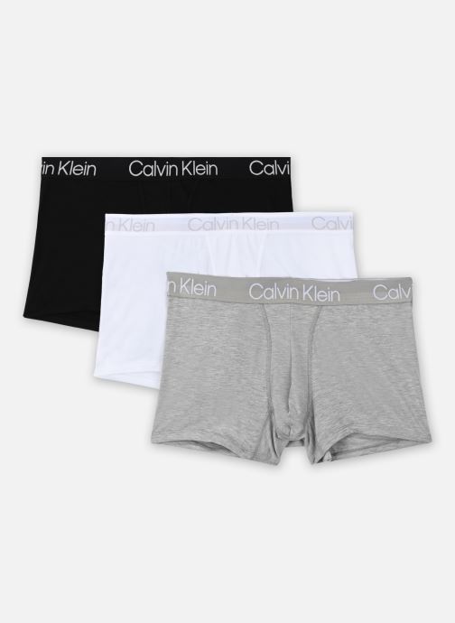 Vêtements Calvin Klein Trunk 3Pk Modern Structure 000NB2970A pour  Accessoires