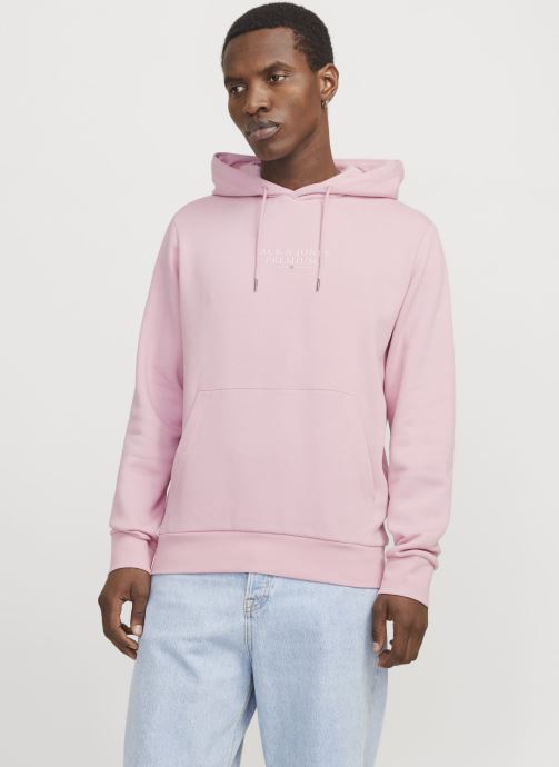 Vêtements Jack & Jones JPRBLUARCHIE SWEAT HOOD NOOS pour Accessoires