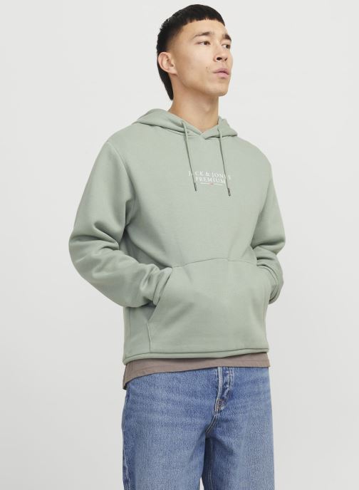 Vêtements Jack & Jones JPRBLUARCHIE SWEAT HOOD NOOS pour Accessoires