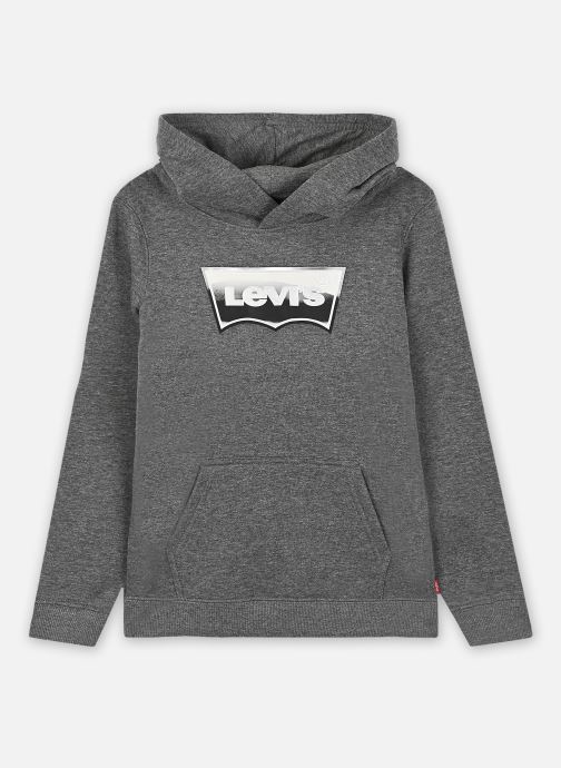 Vêtements Levi's Kids Levi's® Metallic Batwing Pullover Hoodie pour  Accessoires