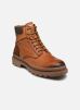 Pikolinos Bottines et boots Ourense M6U-8089 pour Homme Male 40 Brandy