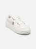 Tommy Hilfiger Baskets TH BASKET SNEAKER LO pour Femme Female 39 FW0FW07756YBL