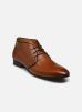 Marvin&Co Bottines et boots Verlin pour Homme Male 40 50030 1227 last 085 CALF COGNAC