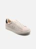 Fred Perry Baskets SPENCER PERF SUEDE pour Homme Male 40 FPB7307U74