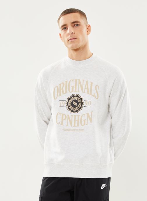 Vêtements Jack & Jones JORLUCCA BRANDING SWEAT CREW NECK pour Accessoires