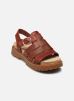 Timberland Sandales et nu-pieds Clairemont WayFISHERMAN SANDAL pour Femme Female 37 TB0A5ZKZEQ81