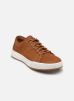 Timberland Baskets Maple GroveLOW LACE SNEAKER pour Homme Male 40 TB0A6A2DEM71