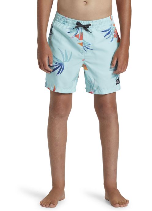 Vêtements Quiksilver Everyday Mix Volley Yth 14 pour  Accessoires