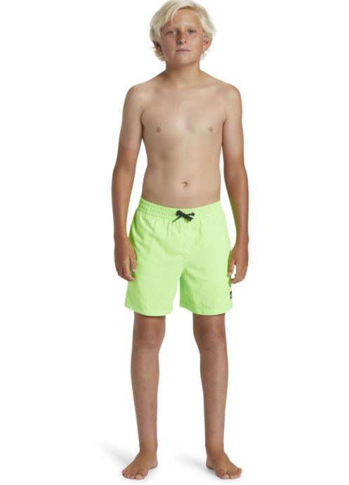 Vêtements Quiksilver Everyday Solid Volley Yth 14 pour  Accessoires