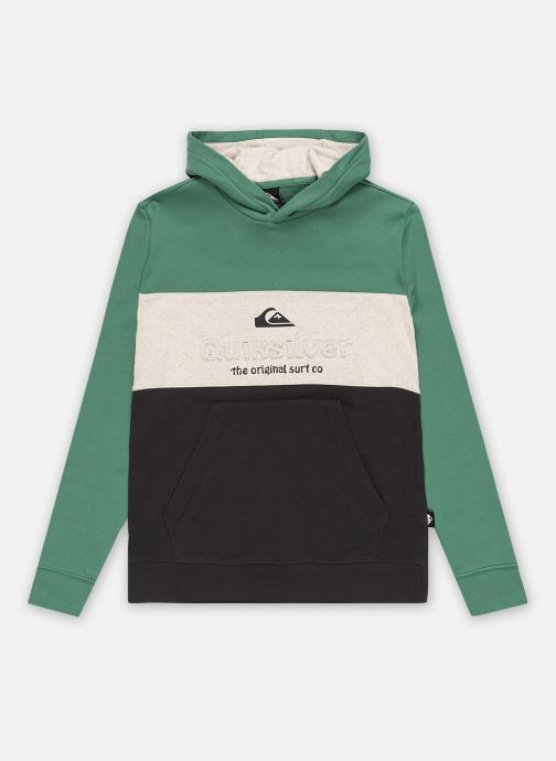 Vêtements Quiksilver Emboss Block Hoodie Youth pour Accessoires