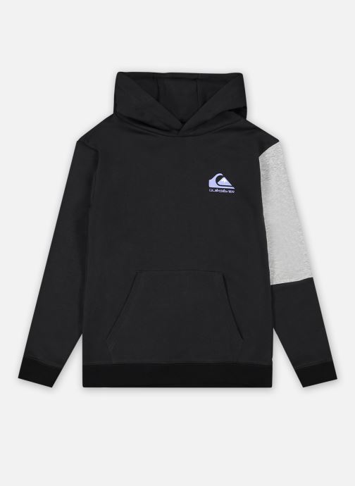 Vêtements Quiksilver Colour Flow Hoody Youth pour  Accessoires