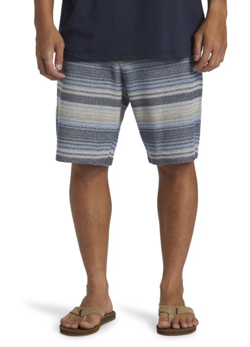 Vêtements Quiksilver Great Otway Short pour Accessoires