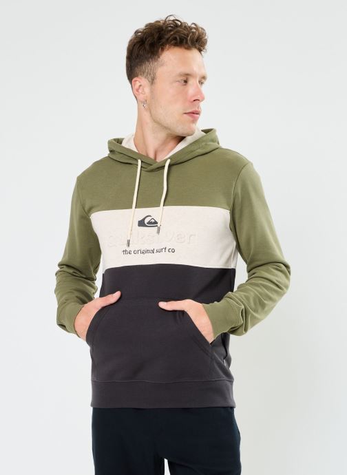 Vêtements Quiksilver Emboss Block Hoodie pour Accessoires