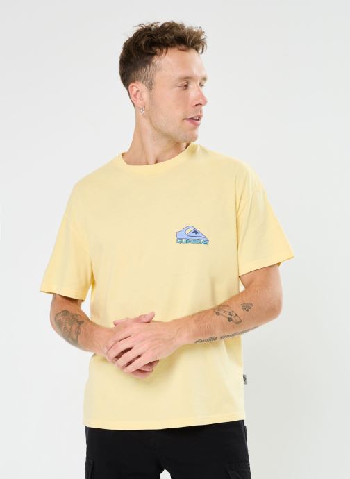 Vêtements Quiksilver Take Us Back Logo Ss pour  Accessoires