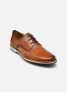 Lloyd Chaussures à lacets DAKIN pour Homme Male 41 14-007-04