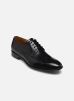 Lloyd Chaussures à lacets NEVADA 00 pour Homme Male 41 14-118-00