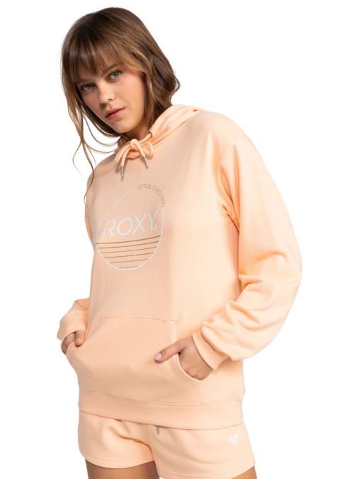 Vêtements Roxy Surf Stoked Hoodie Terry pour  Accessoires