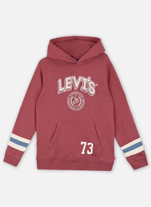 Vêtements Levi's Kids Levi's Stripe On Sleeve Pullover Hoodie pour  Accessoires