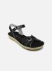 Salt-Water Sandales et nu-pieds Boardwalk Adult pour Femme Female 36 1906/Black