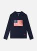 Polo Ralph Lauren Vêtements Flag Cn Swtr-Tops-Sweater pour Accessoires Male 3A 322668285001/323668285001