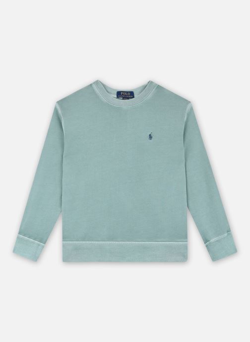 Vêtements Polo Ralph Lauren Po Cn-Knit Shirts-Sweatshirt pour  Accessoires