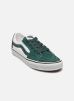 Vans Baskets SK8-Low pour Homme Male 40 VN000BVXCI2