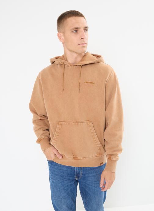 Vêtements Dickies Plentywood hoodie pour  Accessoires