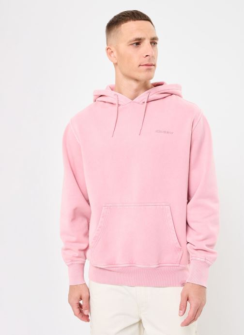 Vêtements Plentywood hoodie pour Accessoires - Dickies - Modalova