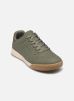 Skechers Baskets ZINGER - THE ARWEN pour Homme Male 40 183283/OLV