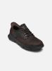 Skechers Baskets SLIP-INS - GARZA GERVIN pour Homme Male 41 205046/CHOC