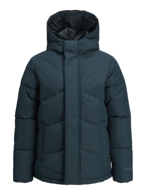 Vêtements Jack & Jones Jjworld Puffer Jacket Jnr pour  Accessoires