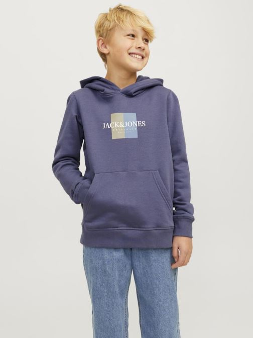 Vêtements Jack & Jones Jorfrederiksberg Box Sweat Hood Sn Jnr pour  Accessoires