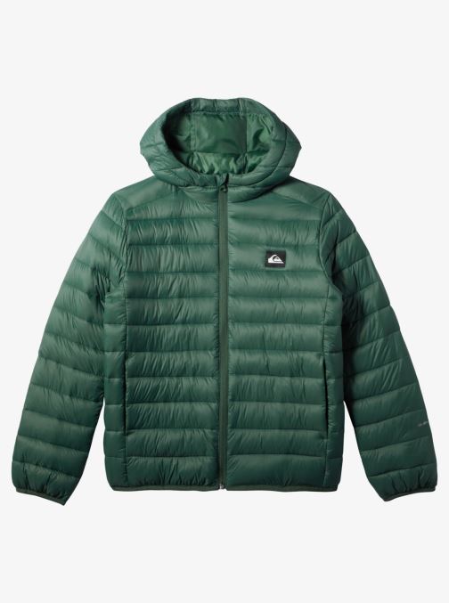 Vêtements Quiksilver Scaly EQBJK03326 pour  Accessoires