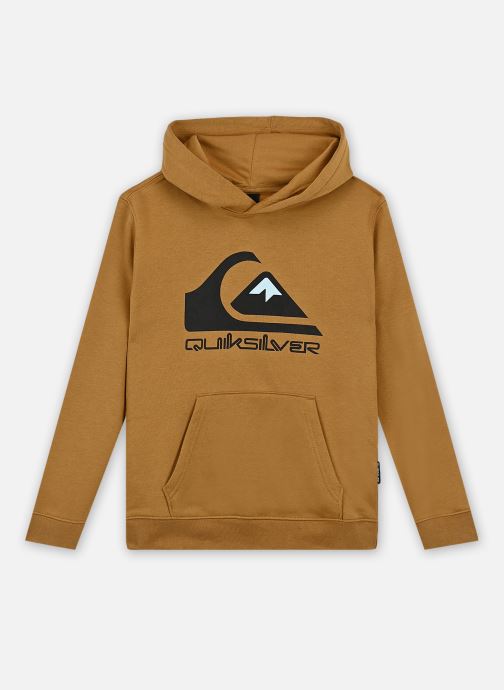 Vêtements Quiksilver Big Logo pour  Accessoires