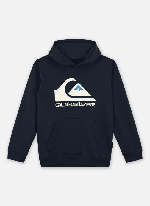 Vêtements Quiksilver Big Logo pour  Accessoires