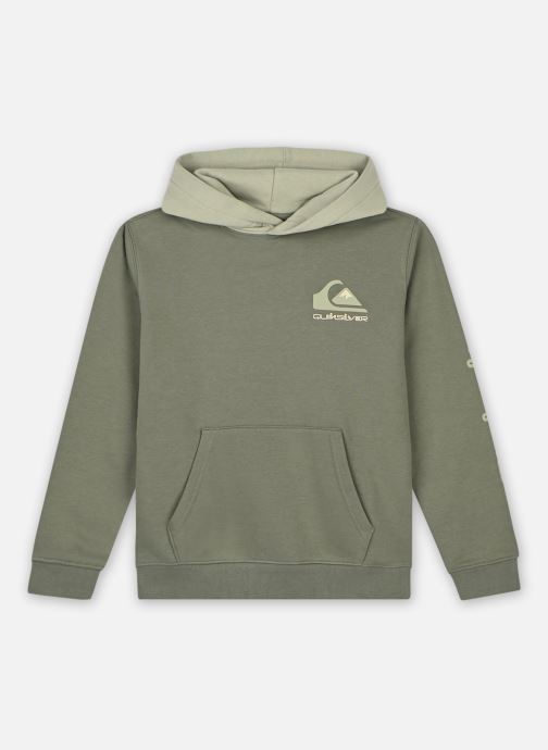 Vêtements Quiksilver Omni Logo pour Accessoires