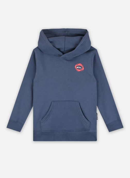 Vêtements Quiksilver Graphic Hoodie AQKFT03044 pour  Accessoires