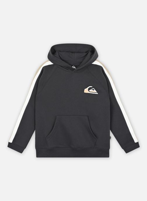 Vêtements Quiksilver Graylinghoodie pour  Accessoires