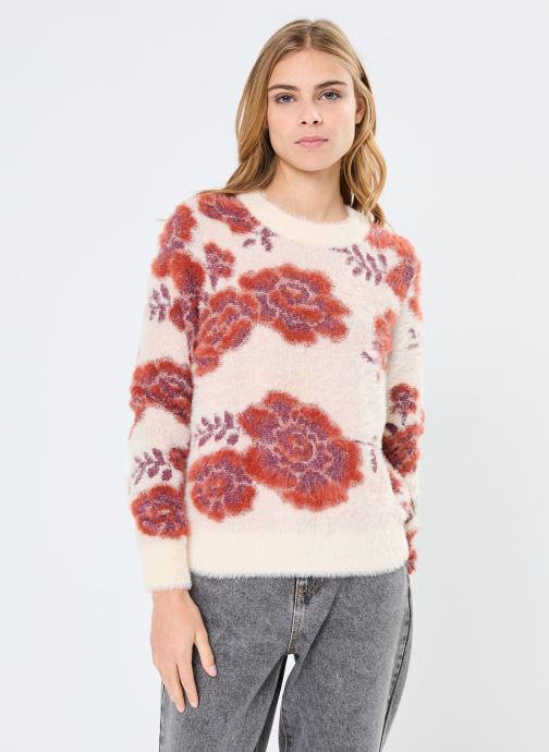 Vêtements Vero Moda VMPOILU NEWFLOWER LS ONECK PULLOVER FR pour  Accessoires