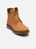 Jack & Jones Bottines et boots JFWFINIUS PU NUBUCK BOOT IT pour Homme Male 40 12267033-Honey Detail:LOGO