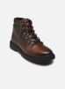 Geox Bottines et boots U CALAITA H pour Homme Male 39 U46HBH000FFC6003