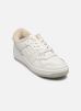 Tommy Jeans Baskets TJW RETRO BASKET WL pour Femme Female 36 EN0EN02593YBL