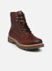 Caterpillar Bottines et boots COLORADO GRADER WP pour Homme Male 40 976580-60-9