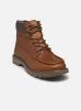 Caterpillar Bottines et boots COLORADO MOC TOE pour Homme Male 40 976140-60-9