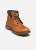 Caterpillar Bottines et boots COLORADO 2.0 WP pour Homme Male 40 933650-60-9